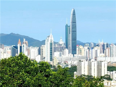 深圳龙岗桑拿全套论坛：解析深圳龙岗地区桑拿服务全套的专业论坛