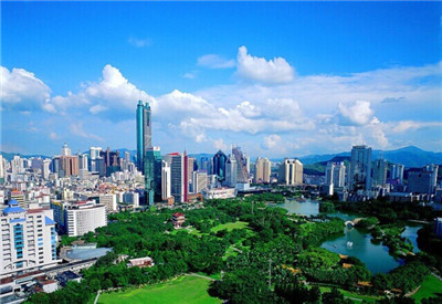 探索深圳的马术之旅